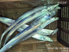 통영뉴명성호먼바다대갈치출조황입니다내일자리여유있습니다(010.3569.4607) 사진