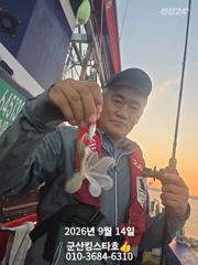 [군산] 군산킹스타호(9/14) 소수인원출조 쭈꾸미 마무리조황~ 사진