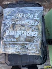 여수그린나래호/ 9월 14일 토실토실 쭈꾸미낚시조황!!(수요일 소수자리가능 !) 사진