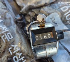 9월 14일 슈퍼노바호 쭈 조황 사진
