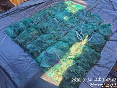 고강호 글만 보기 사진