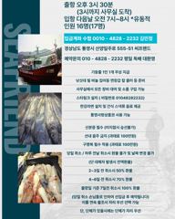 오늘의 입항조황... 개인의 차이는 있으나 씨알들은 좋습니다. 반쿨에서 만쿨조황까지.. 오늘 자리여유 사진