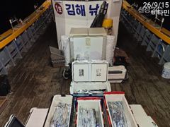 [진해] 먼바다갈치 오늘 3시 출항 예약가능합니다 사진