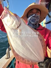 9월15일 연일 대광어~오늘도 나오고 있어요~참돔,우럭등 다양한… 사진