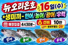 뉴오리온호 갑오징어 낚시 실시간 조황 (15일) 사진