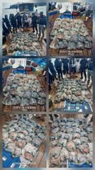 돌문어 전투출조 합니다 목요일 ~ 화요일까지 황금물때 기간 씨알도 커지고 마릿수도 잘 나오고 있습니다 망태기가득 채우러 가실분들 미리미리 연락주세요 사진