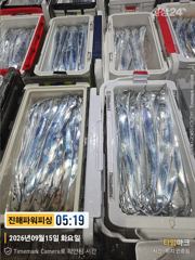 15일입항 [갈치/텐빈/텐야] 다녀왔습니다[화요일]예약가능 사진