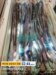 [[대림낚시바다호 ]] 왕갈치 조황 ~~ 사진