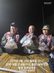 [통영] 통영 금정호 내일 오전문어 선상 출동합니다 자리여유있어요~ 사진
