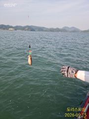 [사천] 내일도갑오징어 주서담으러갑니다 자리여유 사진