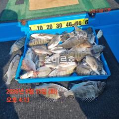 호미르호 카고 사진