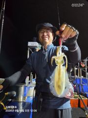 14일무늬조황