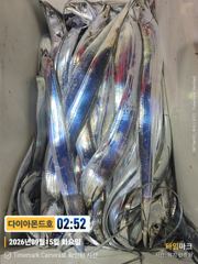 갈치 대박터지는중! 오늘내만갈치 예약가능! 전화주세요~