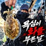 [팀바이트호] 9월15일 갑오징어 낚시 사진