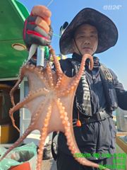 9.16 문어 달달한조황!^^예약문의 01044501114