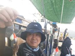 [사천] 왕쭈꾸미 피딩피딩 사진
