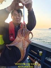 9/16 군산나래호(킹덤) 주간문어 실시간입니다 내일 자리 여유있습니다 사진