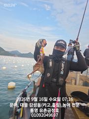 통영 금정호 오전문어 시작부터 손맛 재미납니다 내일 자리여유있습니다 사진