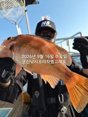 [목포VIP호] 9월15일 갈치씨알깜놀~조황! 사진