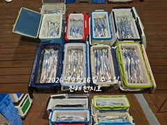 내만갈치 계속 호조항 이어지고~~~예약가능 사진