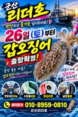 ▼▼리더호 ●황금물때 쭈꾸미 낼 ●소수인원 정상출조 사진