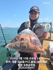 [통영] 통영 금정호 오전문어선상 마릿수손맛 좋습니다!! 내일과 주말 자… 사진