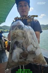9분 왕주꾸미 사이즈.마릿수 끝내줍니다(낼 자리여유) 사진