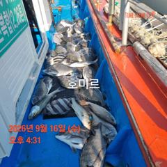 호미르호 찌낚 사진