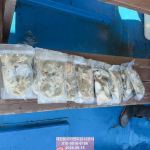 16일 쭈친구들 갑친구들. 사진