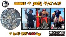 9/16 수 [12물] 쭈꾸미/갑오징어 조항 입니다. 사진