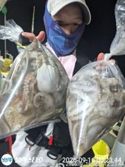 내일부터 야간문어 출동합니다 사진