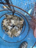 9월16일 조황입니다