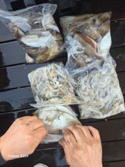 [쭈갑조황] [홍원항 신세계호] 9월16일(수) 갑쭈로 손맛보고 왔습니다. 사진