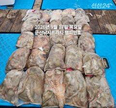 17일, 어제 대박에 이어, 장원 30수 2분--2망탱이씩 굿굿~13분이 낚아낸 덩치급 문어들~내일도 갑니다~군산 챔피언호 사진