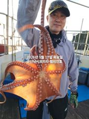 17일, 어제 대박에 이어, 덩치급 문어가 낚이기 시작합니다~실시간~내일도 갑니다~군산 챔피언호 사진