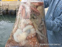 오늘은 돌문어 조업! 낼은 쭈구미!