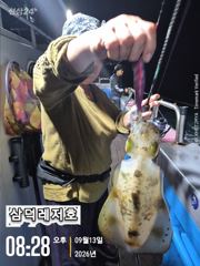 [팁런] 1.3k. 씨알좋은,무늬들 (금,토,일,출항) 사진