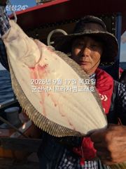 9월17일,"대광어"~연일 굿~참돔 ,우럭등 다양한 손맛~실시간~내일도 갑니다~ 군산낚시프라자 범고래호