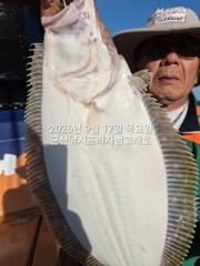 9월17일,"대광어"~연일 굿~참돔 ,우럭등 다양한 손맛~실시간… 사진