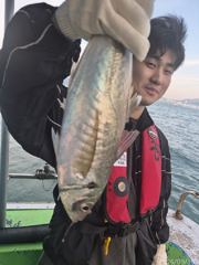[부산] 대전갱이~~64cm참돔~부시리조황 사진