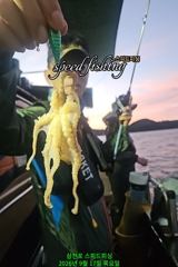 [사천] 17일 주꾸미 느나~느나 실시간 조황(낼 자리여유) 사진