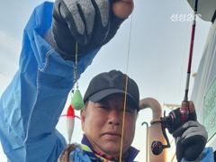 여수쭈꾸미 176마리 사진
