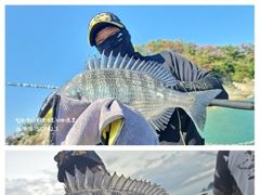 33분전 [격포] [격포 힐링호] 9/17 갑오징어 조황입니다 사진