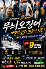 [진해] 무늬팁런 사이즈업 사이즈업 사진