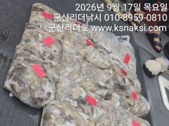 ⭐⭐군산 주꾸미, 지금 분위기가 달라졌습니다⭐⭐21부터여유자리 사진