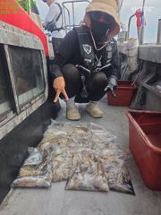 쭈ㆍ갑 사진