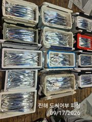 17일새벽 내만갈치 담배갑씨알까지 초대박릴레이~!!전원 엄청잡고~!!(일,월,화 예약중) 사진