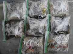 17일 최저가대왕쭈 초초대박 157수가왕쭈장원 151수,124수,118수,114수,114수........ 사진