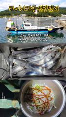 [진해] 내만칼치 자리 널~널~합니다 사진