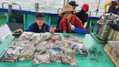 2026년 9월 17 ^굿 굿 굿^ 쭈꾸미 조황 (허사장님부부549수)